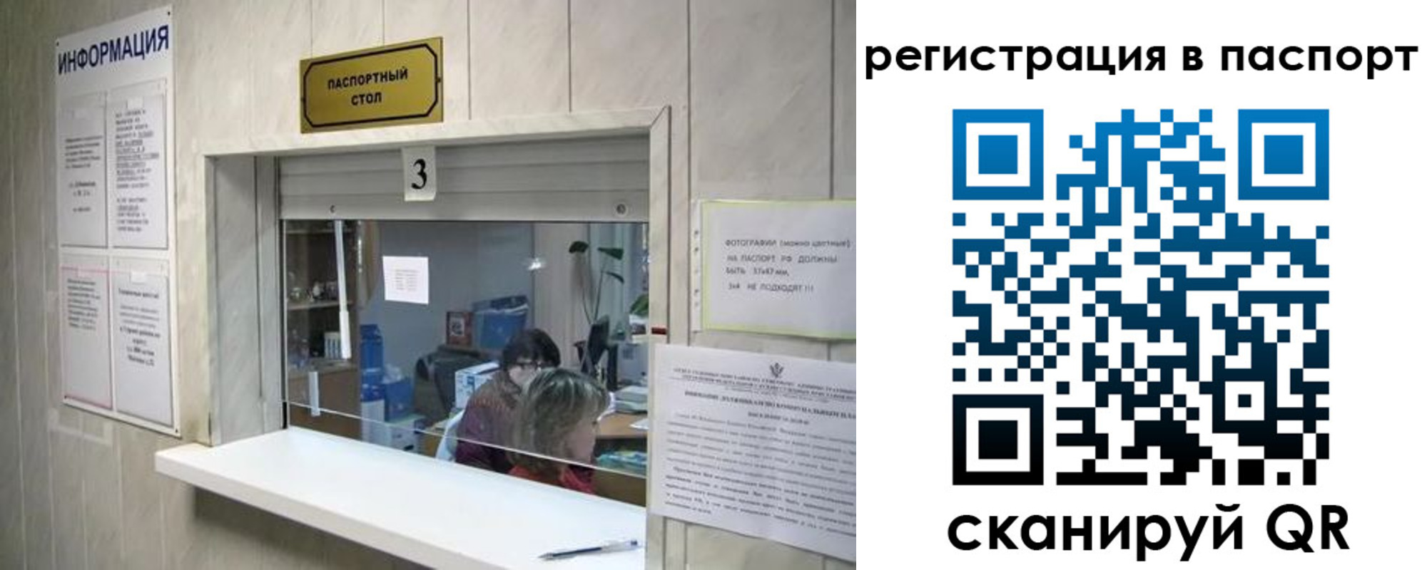 прописка поиск в Кохме